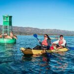 Wildlife Kayak Tour in Santa Barbara Harbor (2 Hours) - Authentic Reviews and Perspectives