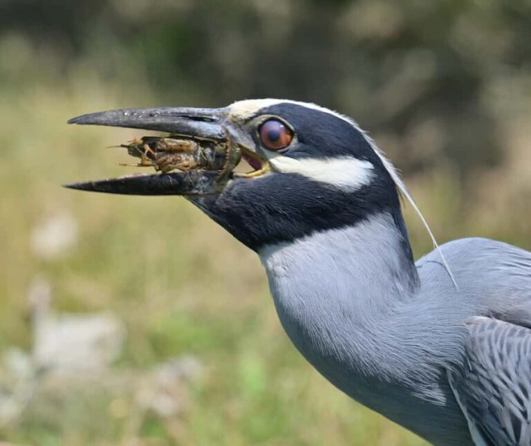 Wildlife Photography Tour in Washington DC! - The Itinerary: What to Expect