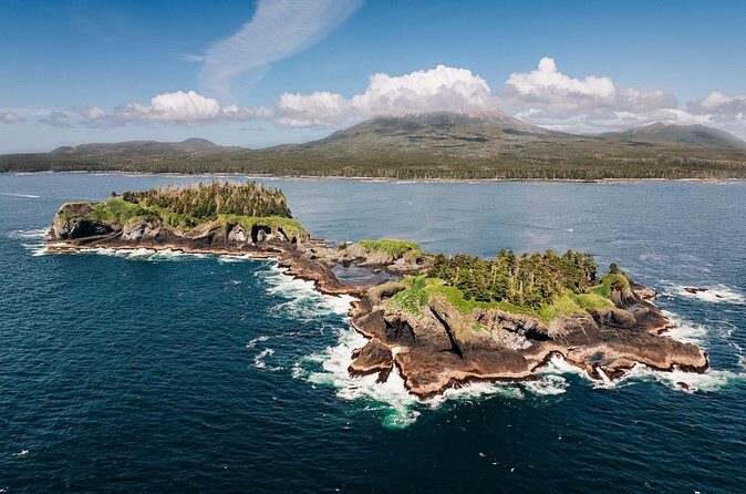 Wildlife Photography Workshop: Sitka Boat Tour (3 hours) - The Sum Up