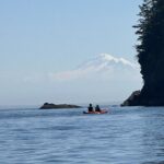 Wildlife Spotting Kayak Adventure on Orcas Island - Why This Tour Works