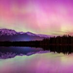 Wildlife Wild Skies: Jasper Planetarium Combo - What the Tour Includes and What It Doesn’t