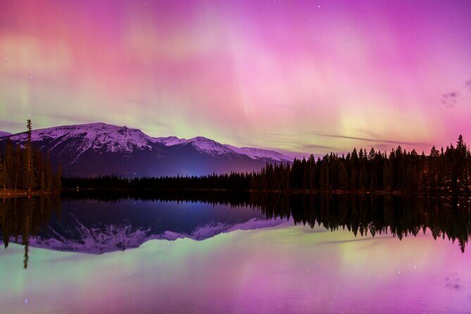 Wildlife Wild Skies: Jasper Planetarium Combo - What the Tour Includes and What It Doesn’t