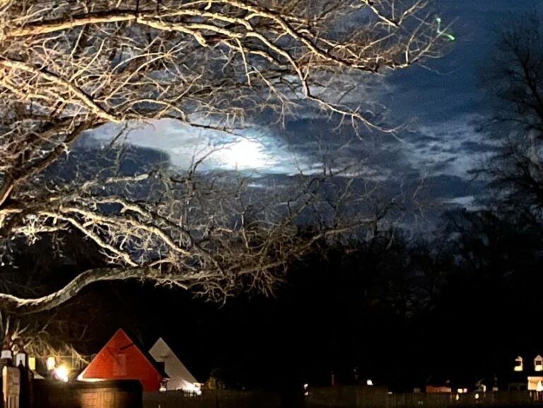 Williamsburg: Dead of Night Paranormal investigations Tour - What You Can Expect on the Tour