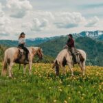 Willow Creeks Signature Half Day Ride with Lunch - Final Thoughts: Is It Worth It?