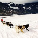 Willow: Winter Dog Sledding Adventure - Who Will Love This Tour?