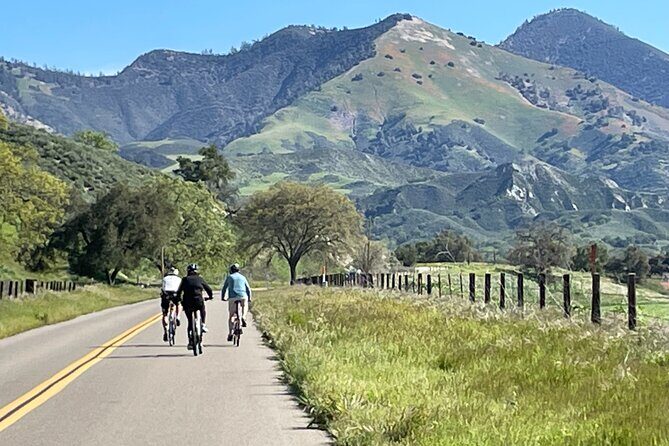 Wine Country Farm to Table Bike Tour w/Lunch - The Cycling Experience: Manageable and Scenic