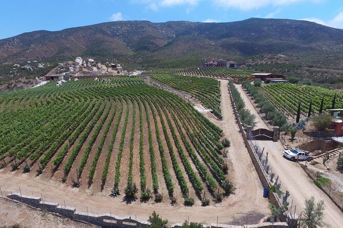 Wine Route including Tastings - What Travelers Say