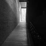 Wine Tasting experience in San Miguel de Allende - Who Should Consider This Tour?