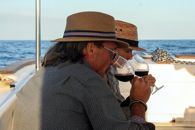 Wine Tasting Sunset Cruise Tour in San Jose del Cabo - The Itinerary in Detail