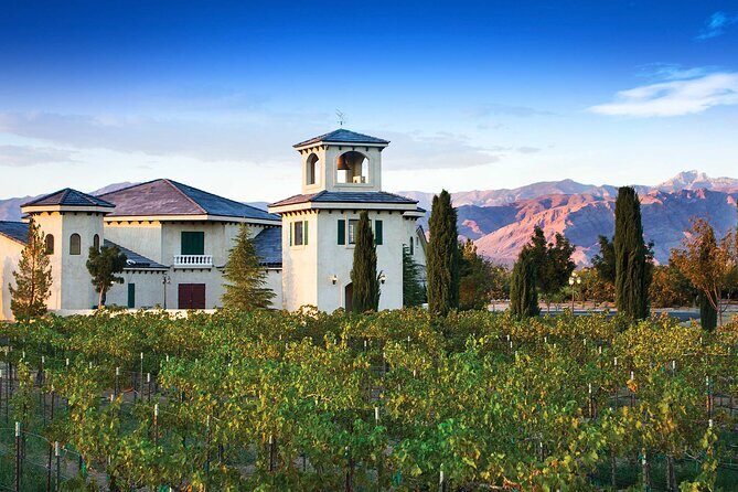 Wine Tasting Tour from Las Vegas with Snacks - An In-Depth Look at the Wine Tasting Tour