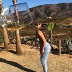 Wine tasting Valle de Guadalupe & Casa Frida - The Value and Overall Experience