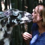 Wine Tasting with Llamas, Alpacas and Guanacos - What to Expect from the Experience