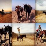 Wine Tour and Horseback Ride through the Mountains of Guanajuato - Practical Details and Value