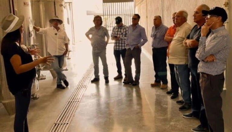 Wine tour and tasting at Vinícola Tierra de Luz - The Tasting and Pairing Experience