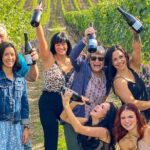 Wine Tour Experience In Lake Country 5 Wineries - An In-Depth Look at the Lake Country Wine Tour