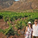 Wine tour valley of guadalupe - The Itinerary in Detail: What to Expect