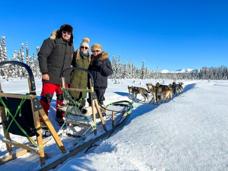 Winter Dog Sled Tour Day or Night Mush! - What to Expect from the Tour