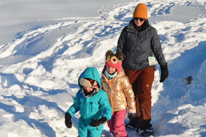 Winter Family Fun Day in Palmer Alaska - Why This Tour Matters for Your Alaska Trip