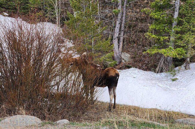 Winter on the Rocks with S'mores (Wildside 4x4 Tours) - An In-Depth Look at the Winter on the Rocks Tour