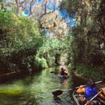 Winter Park: Clear Kayak Tour on Chain of Lakes - The Sum Up