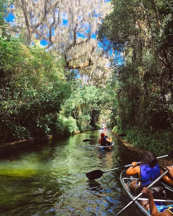 Winter Park: Clear Kayak Tour on Chain of Lakes - The Sum Up