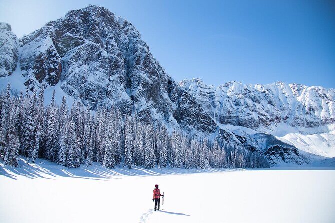 Winter Private Full Day Banff and Icefields Parkway Tour - Why Choose This Tour?