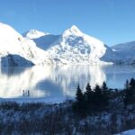 Winter - Wildlife & Turnagain Arm Tour - Who Will Love This Tour?