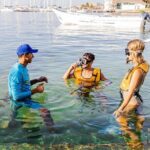 With Turtles, Shipwreck, Cenote, and Reef and Transport Included - The Practicalities: Transportation, Price, and What’s Included