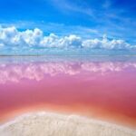 Wonderful Tour Las Coloradas & Buffete only from Cancun - Who Is This Tour Best For?