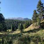 Woodland Park: Snowshoeing Guided Hike - In-Depth Look at the Tour: What to Expect