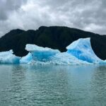 Wrangell Alaska Marine Sightseeing Tour - Who Will Love This Tour?