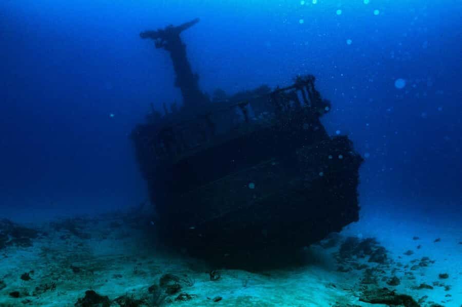 Wreck Dive in Playa del Carmen Dive Machine Experience - What Makes This Dive Special?