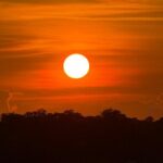 Wrightsville Beach Sunset Dolphin Tour - The Sum Up: Is This Tour Worth Your Time?