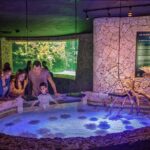 Xcaret Park Entry Tickets with Cultural Night Show Included - The Cultural Night Show: A Vibrant Finale