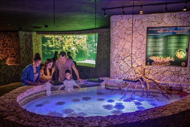 Xcaret Park Entry Tickets with Cultural Night Show Included - The Cultural Night Show: A Vibrant Finale