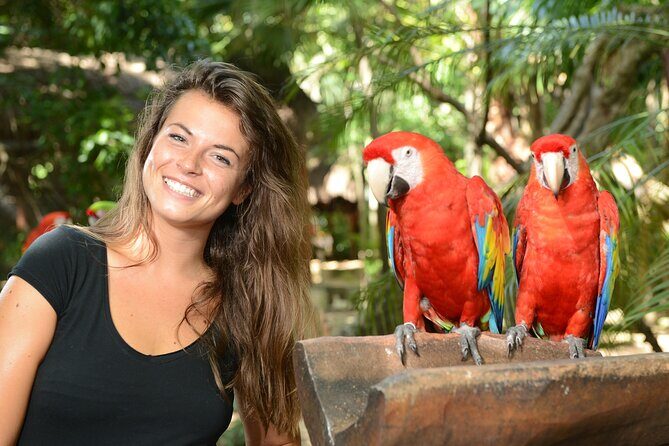 Xcaret Park Plus Access with Transportation and Night Show - The Realities of the Tour: Value and Challenges