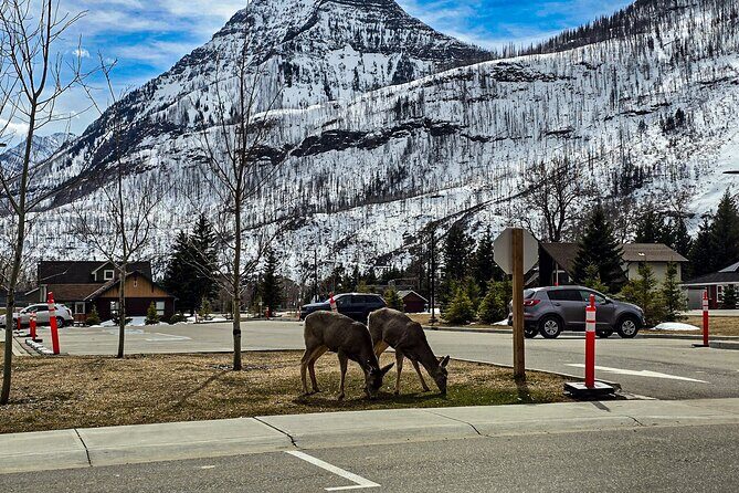 Xclusive Wonders of Waterton Your Private Journey of NaturesBest - Why This Tour Works
