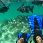 Xel-ha All Inclusive Tour - Who Should Consider This Tour?