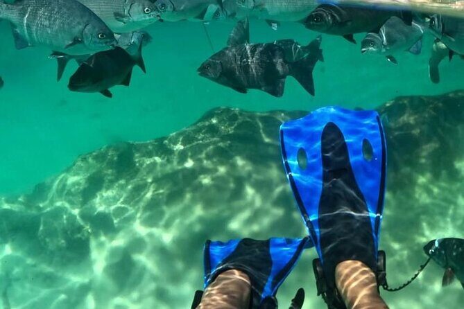 Xel-ha All Inclusive Tour - Who Should Consider This Tour?