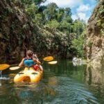 Xenotes - The Food and Drinks