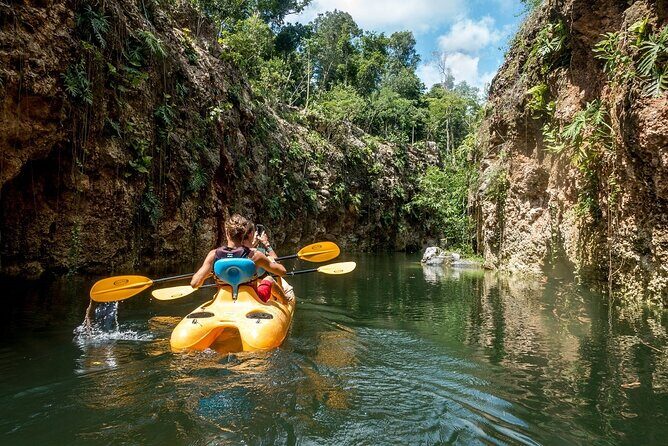 Xenotes - The Food and Drinks