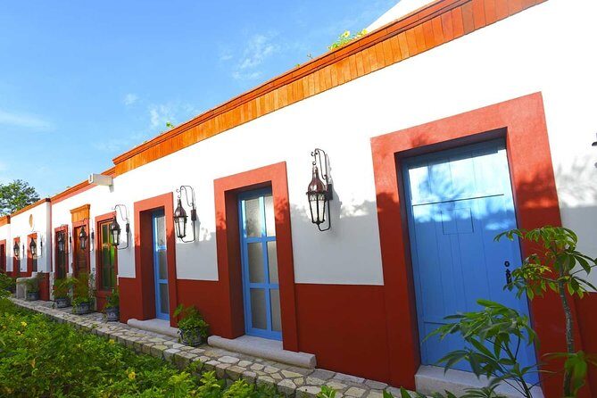 Xenses Ticket - Who Should Consider Visiting Xenses?