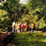 Xkopek, Mayan Bees Tour and Honey Tasting in Valladolid - Who Will Appreciate This Tour?