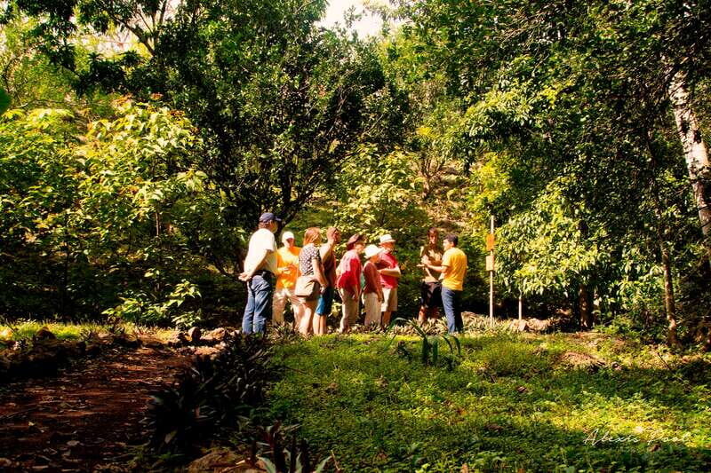 Xkopek, Mayan Bees Tour and Honey Tasting in Valladolid - Who Will Appreciate This Tour?