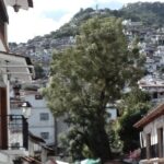 Xochicalco Taxco Cacahuamilpa and Pozas Azules - An In-Depth Look at the Tour Experience