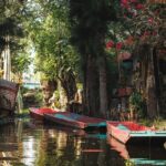 Xochimilco 5 Hour Boat Ride and UNAM University Tour - Practical Details and Tips