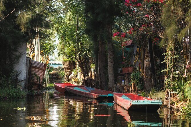 Xochimilco 5 Hour Boat Ride and UNAM University Tour - Practical Details and Tips