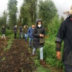 Xochimilco Ancestral Ajolotos Chinampas and Living Tradition - Concluding Thoughts