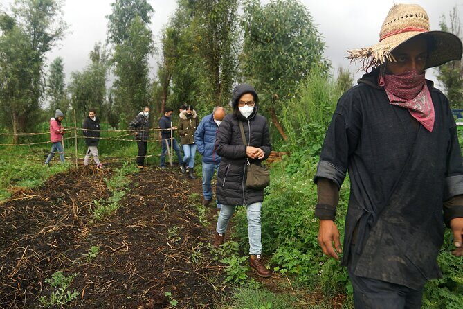 Xochimilco Ancestral Ajolotos Chinampas and Living Tradition - Concluding Thoughts
