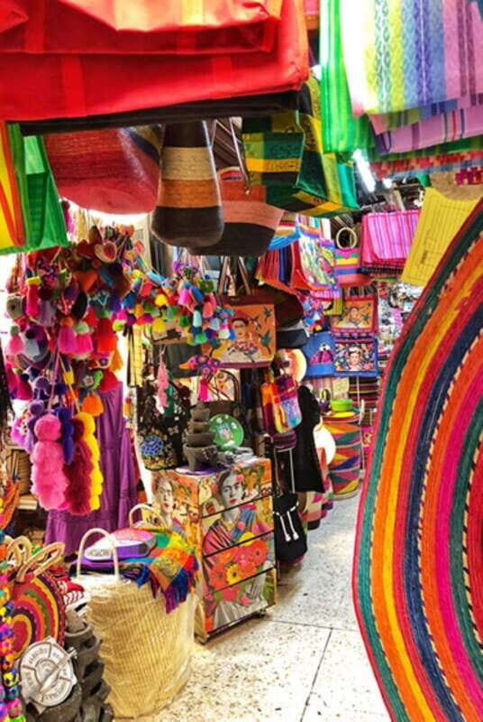 Xochimilco Canals and the Treasures of Coyoacán Tour - Final Thoughts